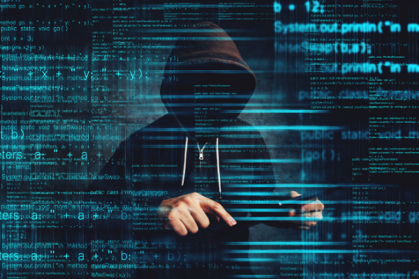 web security
