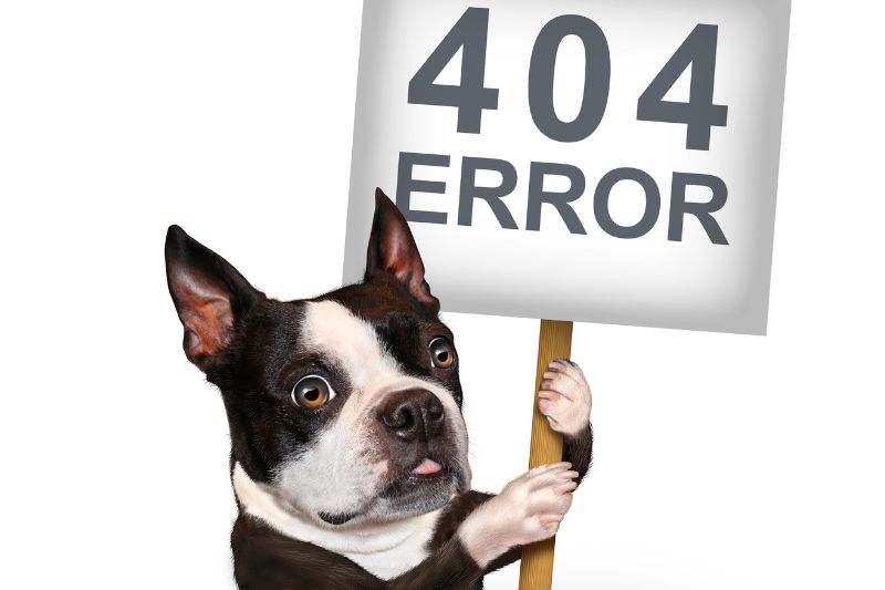 what is technical SEO
