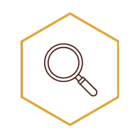 Comprehensive Site & AI Visibility Assessment